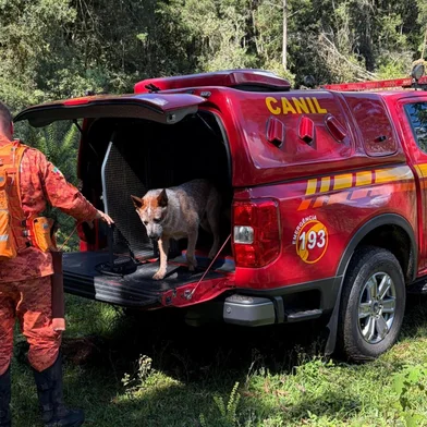 O Corpo de Bombeiros Militar em Vacaria segue com a operação de busca por um homem de 37 anos que está desaparecido, na localidade do Barreiro, região de Boca da Serra, no interior do município de Bom Jesus.As equipes do Pelotão de Bombeiros Militar de Vacaria com apoio do SCAB de Bom Jesus e alguns familiares, seguem atuando na área, realizando varreduras em campos, trilhas e áreas de mata onde há possibilidade de deslocamento da vítima.Durante as buscas, foram localizados vestígios que indicam possível presença recente de pessoa em uma estrutura utilizada anteriormente pela vítima na região, o que permitiu reduzir a área prioritária de buscas e concentrar os esforços das equipes no perímetro identificado.A operação conta também com apoio da equipe cinotécnica do Canil do Batalhão de Busca e Salvamento (BBS), que emprega cão especializado para auxiliar na identificação de possíveis trajetos e pontos de interesse na mata.Os trabalhos seguem com equipes em progressão terrestre e análise de vestígios, com objetivo de localizar a vítima o mais breve possível.O Corpo de Bombeiros Militar segue mobilizado na operação e novas informações poderão ser divulgadas conforme o andamento das buscas.<!-- NICAID(16265179) -->