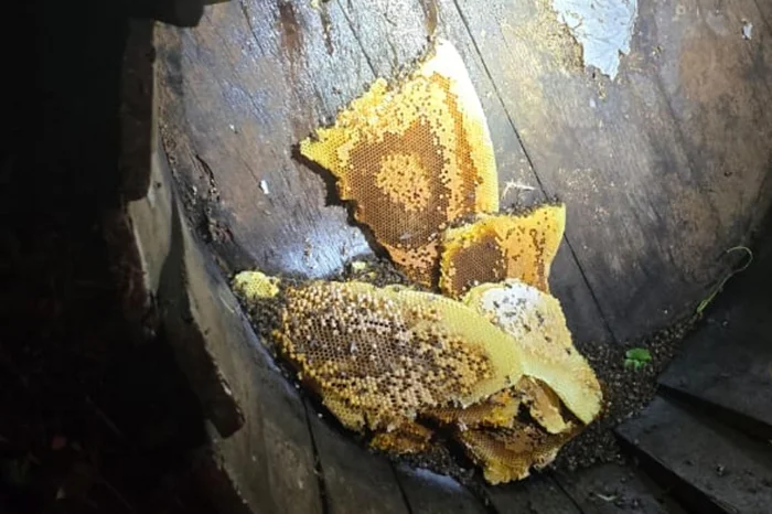 Corpo de Bombeiros de Passo Fundo / Divulgação Corpo de Bombeiros de Passo Fundo / Divulgação