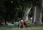 Onda de calor, recorde de temperatura e risco de temporal: como será a próxima semana no RS