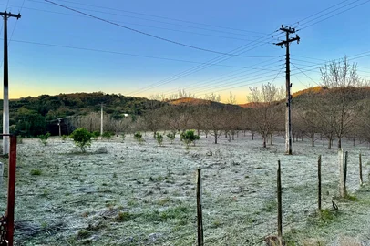 Cidades do norte gaúcho têm geada e sensação térmica de até -10,4°C<!-- NICAID(16065967) -->