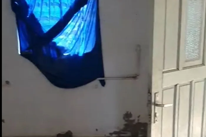 Polícia Civil / Divulgação