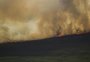 Incêndio no Pantanal tem cenário de animais em fuga e muita ventania