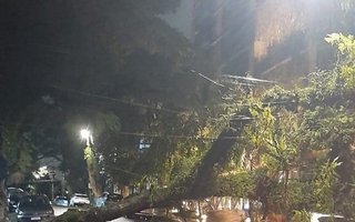 Árvore caiu em cima de um carro nas esquinas da rua Tenente Fabrício Pillar com a avenida Lucas de Oliveira, no bairro Mont'Serrat. Região está sem luz desde a madrugada.