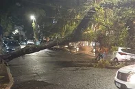 Árvore caiu em cima de um carro nas esquinas da rua Tenente Fabrício Pillar com a avenida Lucas de Oliveira, no bairro Mont'Serrat. Região está sem luz desde a madrugada.