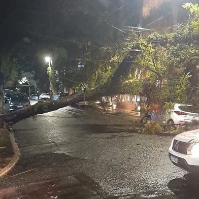 Árvore caiu em cima de um carro nas esquinas da rua Tenente Fabrício Pillar com a avenida Lucas de Oliveira, no bairro Mont'Serrat. Região está sem luz desde a madrugada.