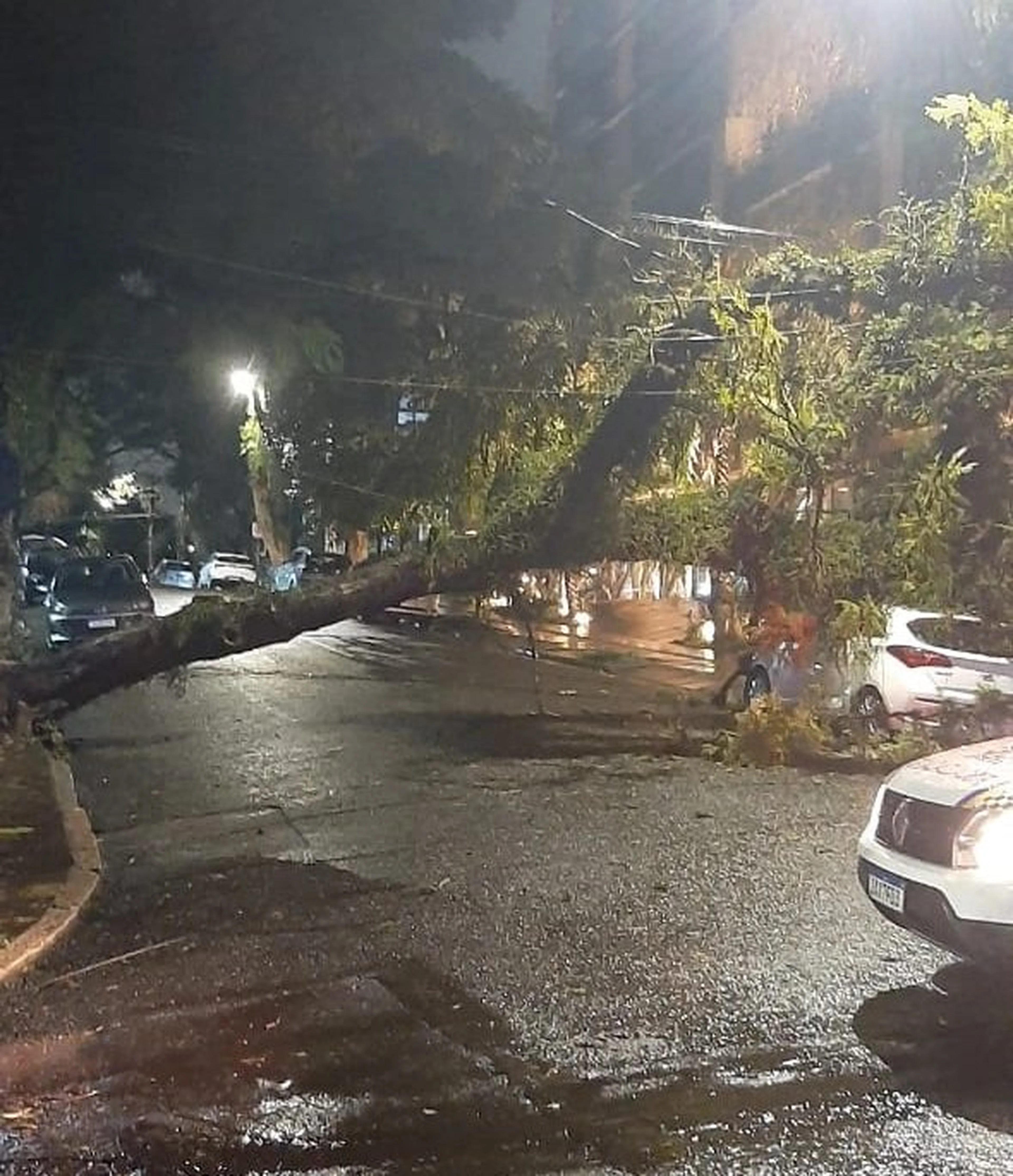 Arquivo pessoal/Arquivo pessoal