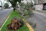Microexplosão, macroexplosão ou tornado: Defesa Civil tenta descobrir o que aconteceu em Canoas