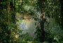 Bioeconomia brasileira: o que são os "créditos de carbono" e como empresas e agricultores estão lucrando com a floresta em pé 