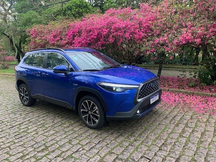 Priscila Nunes / Especial