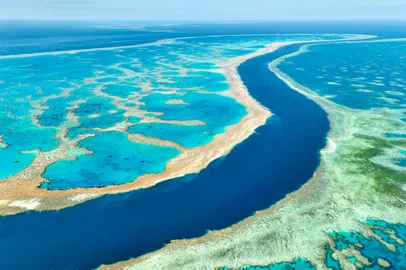 Whitsunday Islands. Great Barrier Reef. Queensland. AustraliaIndexador: Marco BrivioFonte: 626402232Fotógrafo: Photographer<!-- NICAID(15839909) -->