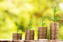 *A PEDIDO DE CAROLINA PASTL* Plantas em cima de moedas - Foto: nattanan/stock.adobe.comFonte: 156236204<!-- NICAID(15232711) -->