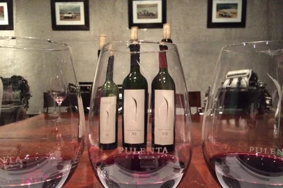 Roteiro de comidas e vinhos em Mendoza, na Argentina.<!-- NICAID(12292076) -->