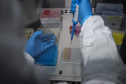 Porto Alegre, RS, BrasilUfrgs inaugura o primeiro laboratório de biossegurança na categoria NB3, que permite o trabalho com vírus vivos. A inovação permitirá o estudo de novos vírus e desenvolvimento de vacinas.<!-- NICAID(15888904) -->