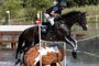 Brazil's Marcelo Tosi riding Glenfly competes in the equestrian's eventing team and individual cross country during the Tokyo 2020 Olympic Games at the Sea Forest Cross Country Course in Tokyo on August 1, 2021. (Photo by Yuki IWAMURA / AFP)<!-- NICAID(14851504) -->