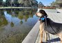 Vai um Chope para alegrar a vida? Último cachorro em abrigo no Bom Fim aguarda por novo lar