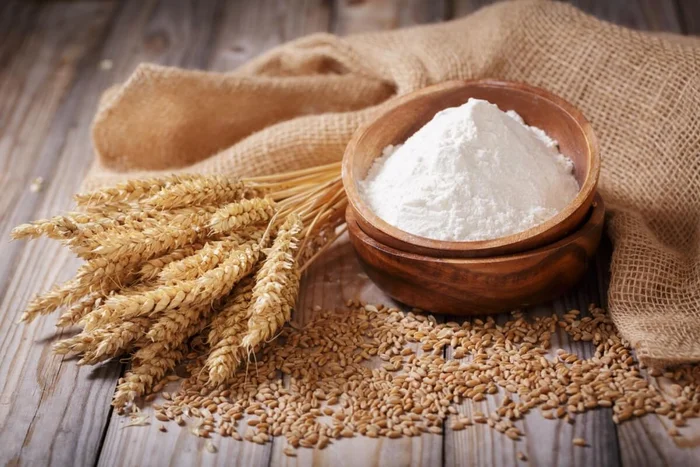 Nitr / Shutterstock | Portal EdiCase Nitr / Shutterstock | Portal EdiCase