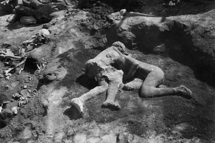 IFL/Science / Reprodução