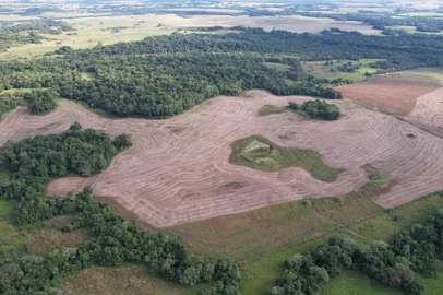 Após ação do MP, polícia flagra 60 hectares do bioma Pampa destruídos em Bossoroca<!-- NICAID(15737547) -->