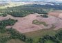 Área desmatada no Pampa cai 50% em 2023, aponta MapBiomas