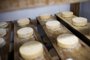 A menor queijaria com SIF do Brasil está na Zona Rural de Porto Alegre. - Anselmo Cunha/Agência RBS<!-- NICAID(15613434) -->