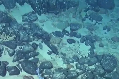 Fundo do mar da Elevação do Rio Grande