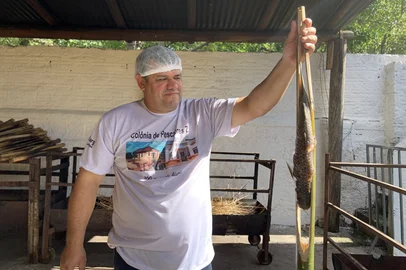 Feira do peixe ilha da pintada