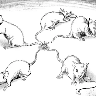 Ilustrações do livro "Rei dos Ratos", do autor caxiense Frank Tartarus. Obra é uma adaptação para o formato HQ de um conto de Machado de Assis e terá lançamento nesta sexta-feira, em Caxias do Sul.<!-- NICAID(16285124) -->