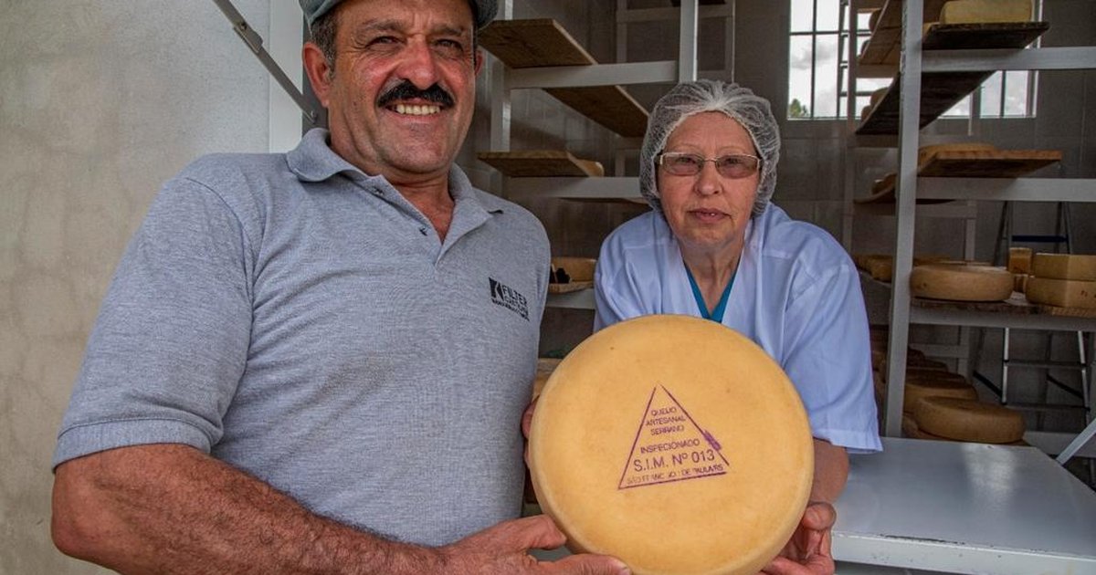 Queijaria da Serra é a primeira do RS certificada para venda de