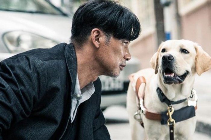 A2 Filmes / Divulgação