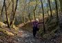 "Foi a maior experiência da minha vida": idosa de 83 anos conclui sozinha Caminho de Santiago de Compostela