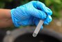 Rio Grande totaliza 390 focos do mosquito da dengue em 2026