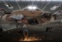 Por dentro do Gigantinho: GZH mostra o avanço das obras do ginásio; veja vídeo