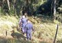Polícia suspende buscas por advogada desaparecida em São Leopoldo