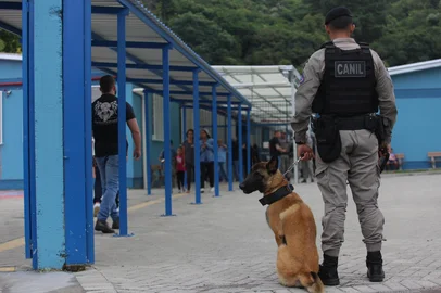 Uma professora de inglês da Escola Municipal de Ensino Fundamental João de Zorzi, no bairro Fátima Baixo, de Caxias do Sul, foi esfaqueada por alunos no início da tarde desta terça-feira (1º). Ela estaria ministrando a aula, uma das primeiras da tarde, quando foi atingida.<!-- NICAID(16007872) -->