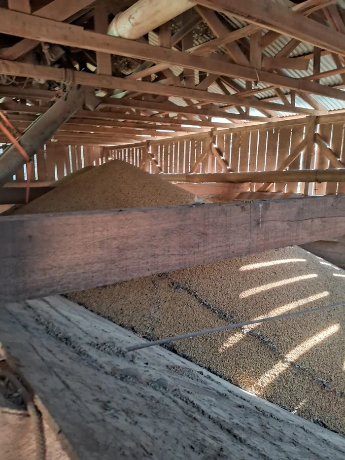 Polícia Civil / Divulgação Polícia Civil / Divulgação