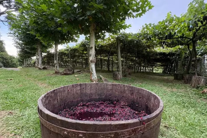 Gabriel Costa / RBS TV