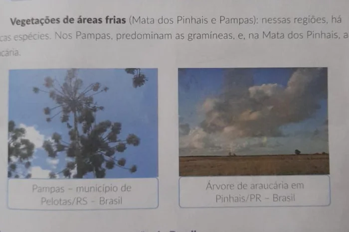 Arquivo Pessoal / Arquivo Pessoal Arquivo Pessoal / Arquivo Pessoal