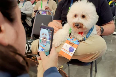 Cachorrinha Pipoca é atração em palco da Gramado Summit<!-- NICAID(16053862) -->