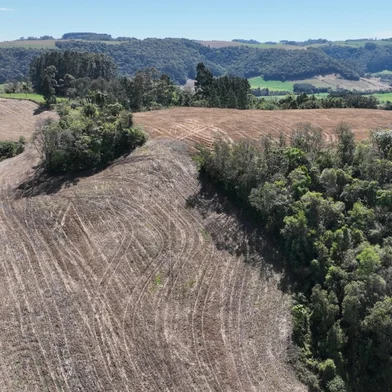 Polícia flagra mais de 56 mil m² de desmatamento em Casca<!-- NICAID(16129343) -->