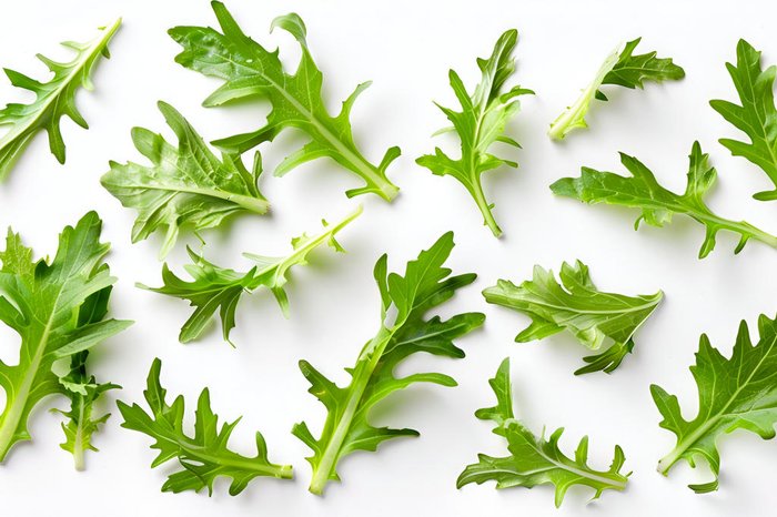 Alon / stock.adobe.com