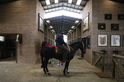 Santo Antônio da Patrulha, RS, Brasil – Quatro vezes campeão do Freio de Ouro, o ginete e treinador de cavalos crioulos Guto Freire é referência na formação de campeões, unindo técnica, tradição e uma relação próxima com os animais.Indexador: jeff botega<!-- NICAID(16102306) -->