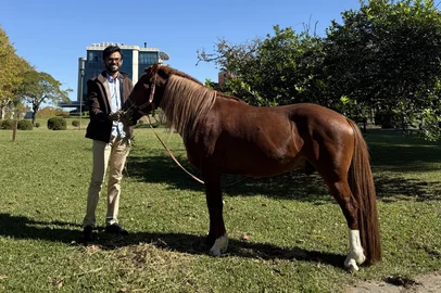 Artista que fará escultura de quatro metros do Cavalo Caramelo visita o animal em Canoas<!-- NICAID(16283504) -->