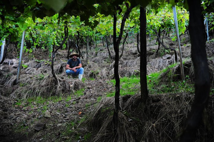 Porthus Junior / Agencia RBS