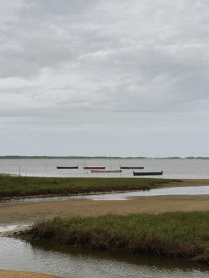 Ivane Favero / Arquivo pessoal