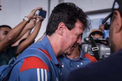 Fernando Diniz, futebol, Cruzeiro