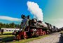 RS tem novas opções para passeios de trem; conheça cinco destinos cheios de história e belas paisagens