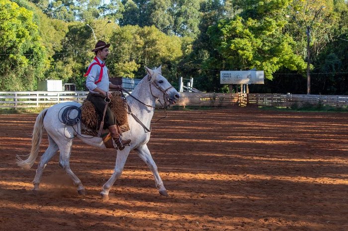 Lucas Vieira e Débora Fabris Fotografias / Arquivo Pessoal