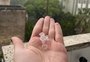 Chuva com granizo gera transtornos em Porto Alegre; acompanhe ao vivo as últimas informações