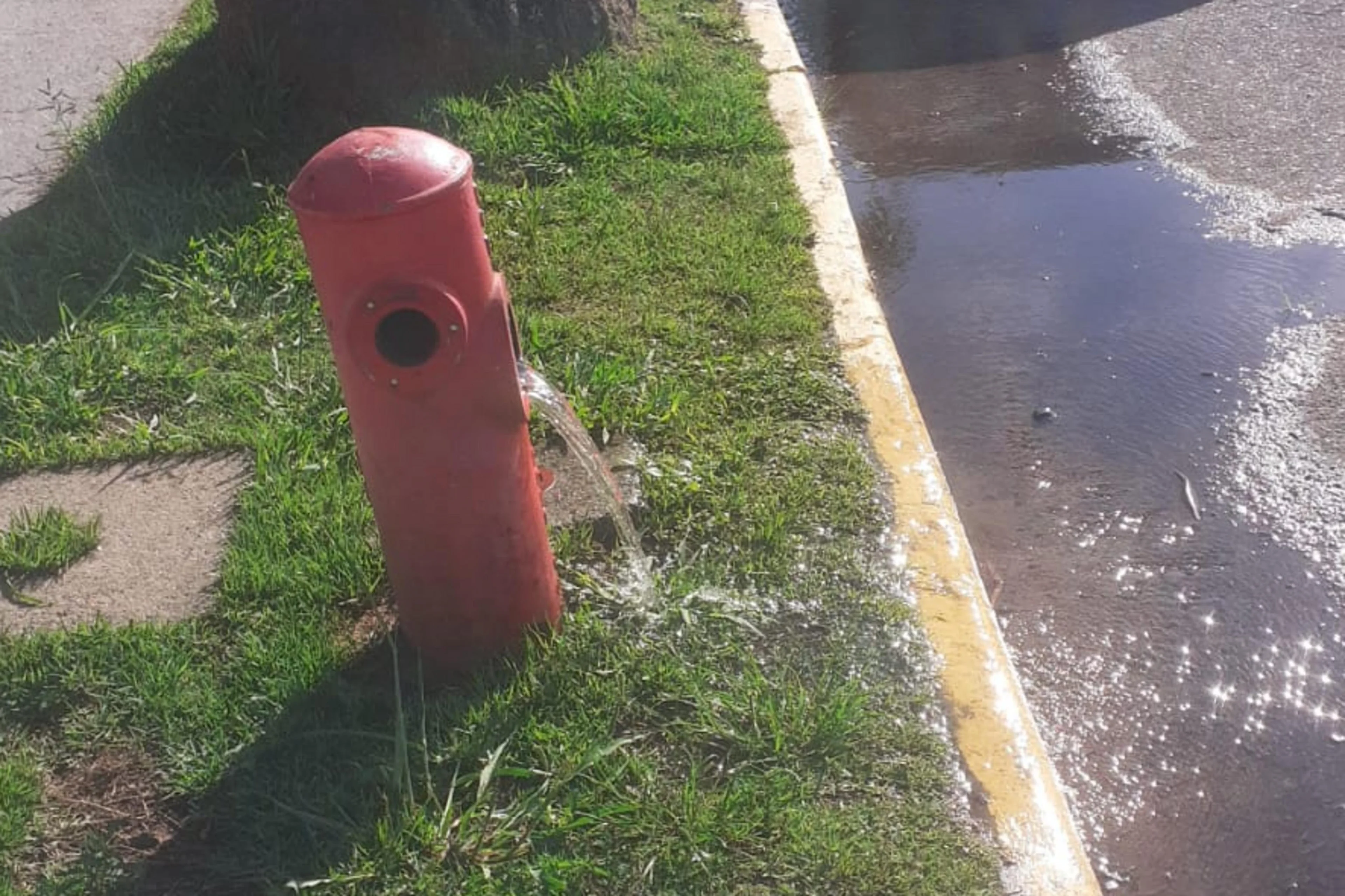 Anelise Mengual/Acervo Pessoal