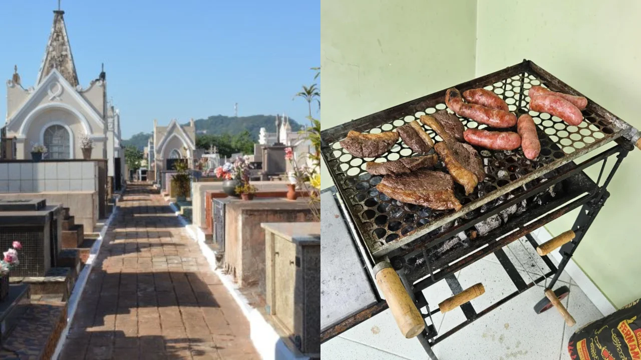 Reprodução